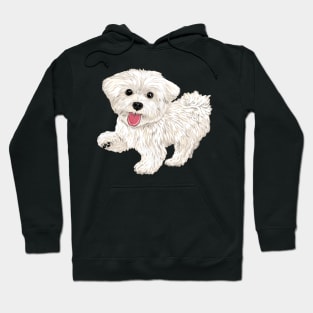 Maru the Maltese Hoodie